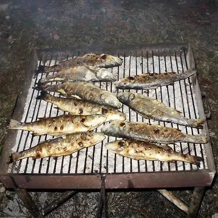 شقة Dragan ستاري غراد